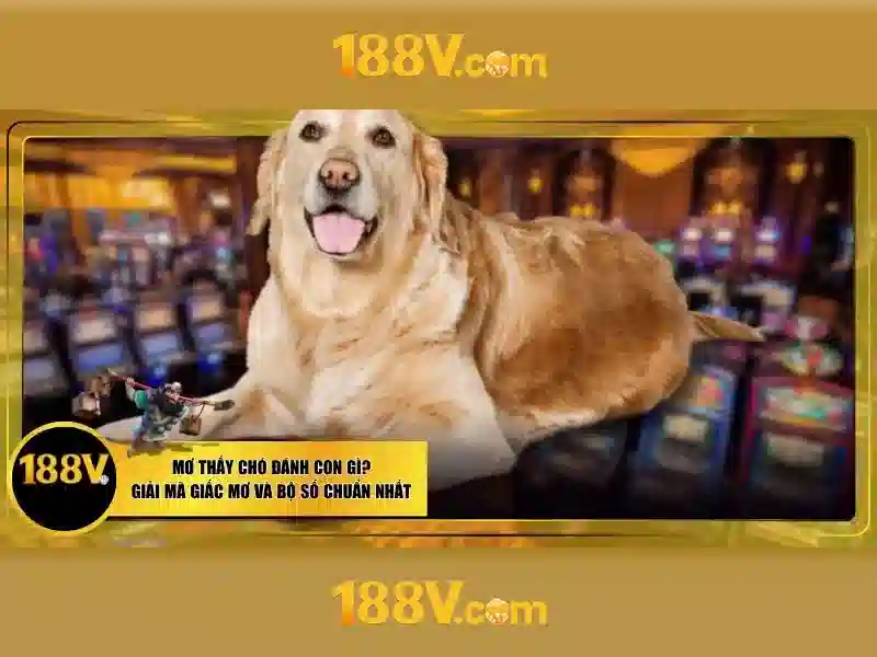 tại 188v – Tổng quan và Giá trị cốt lõi