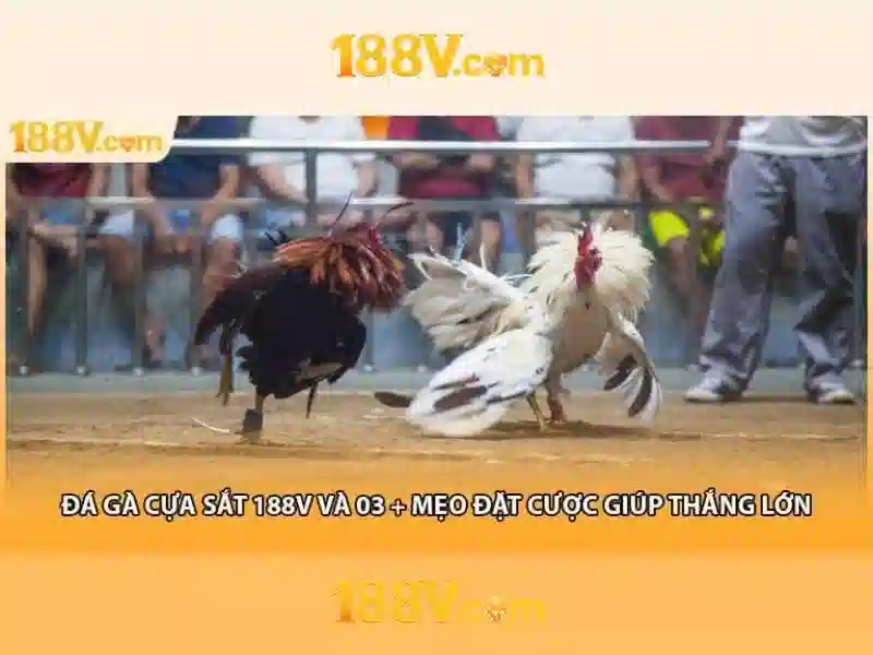 Endrick Rời Real Madrid – Câu Chuyện Phía Sau Quyết Định