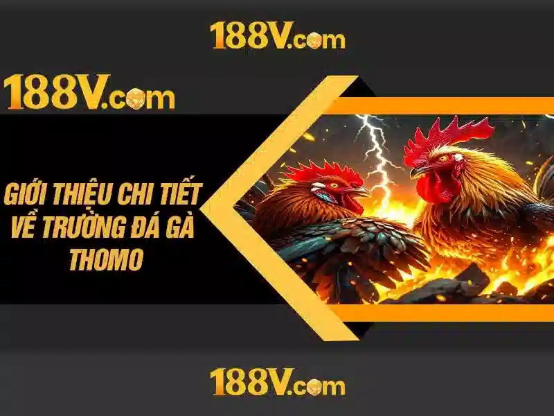 188v .com – Trải nghiệm 188v .com và 188v school