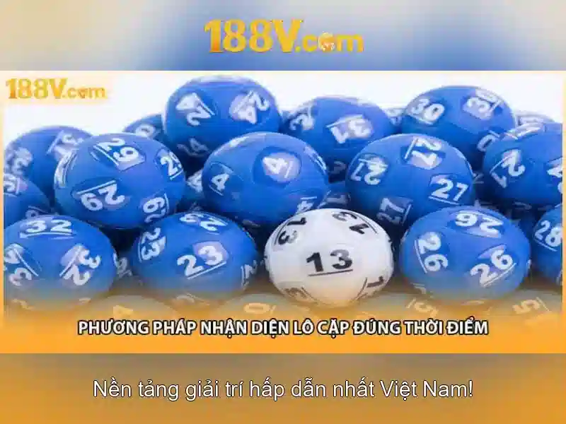 Ứng dụng và thẩm định