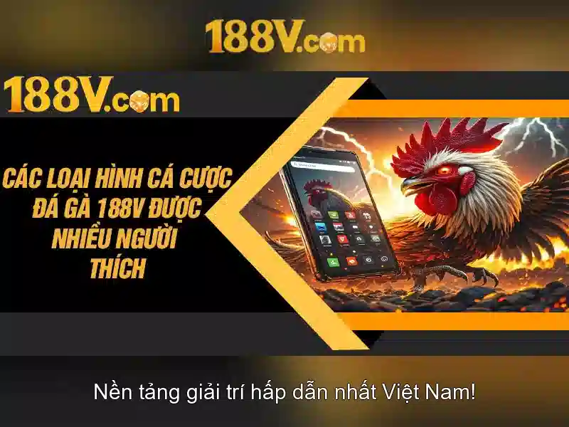 Văn hóa số và hình thái xã hội