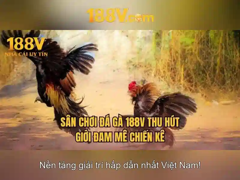 188v: Khái niệm và hành trình khám phá