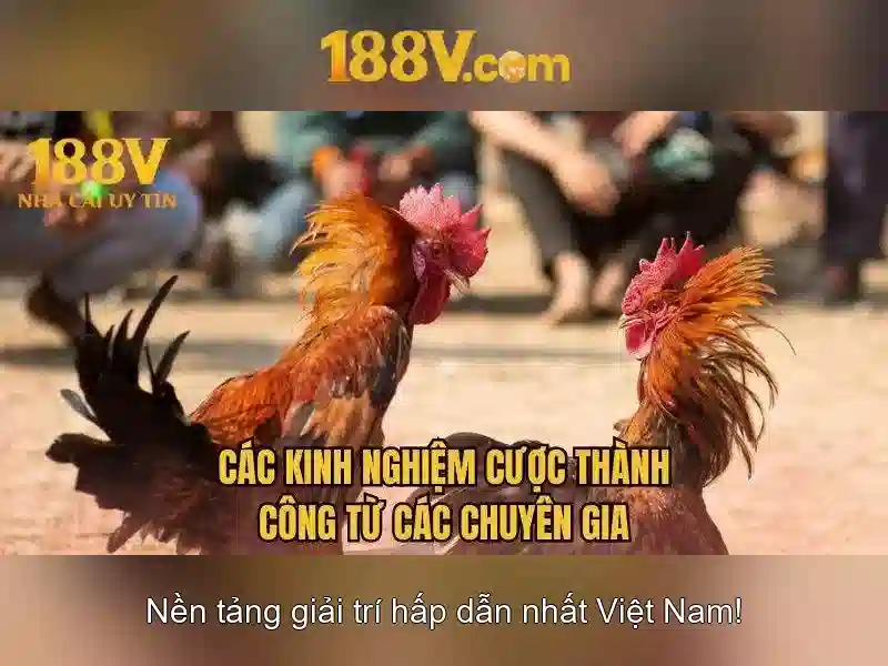 H2. 188v . com – Tổng quan chủ đề và giá trị cốt lõi