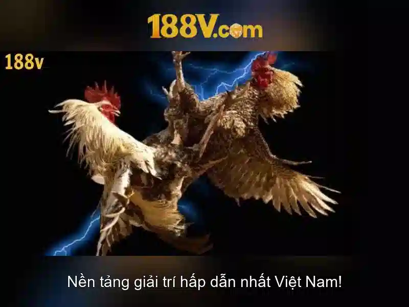 rút thưởng 188v – Trải nghiệm và đánh giá đáng tin cậy